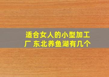 适合女人的小型加工厂 东北养鱼湖有几个